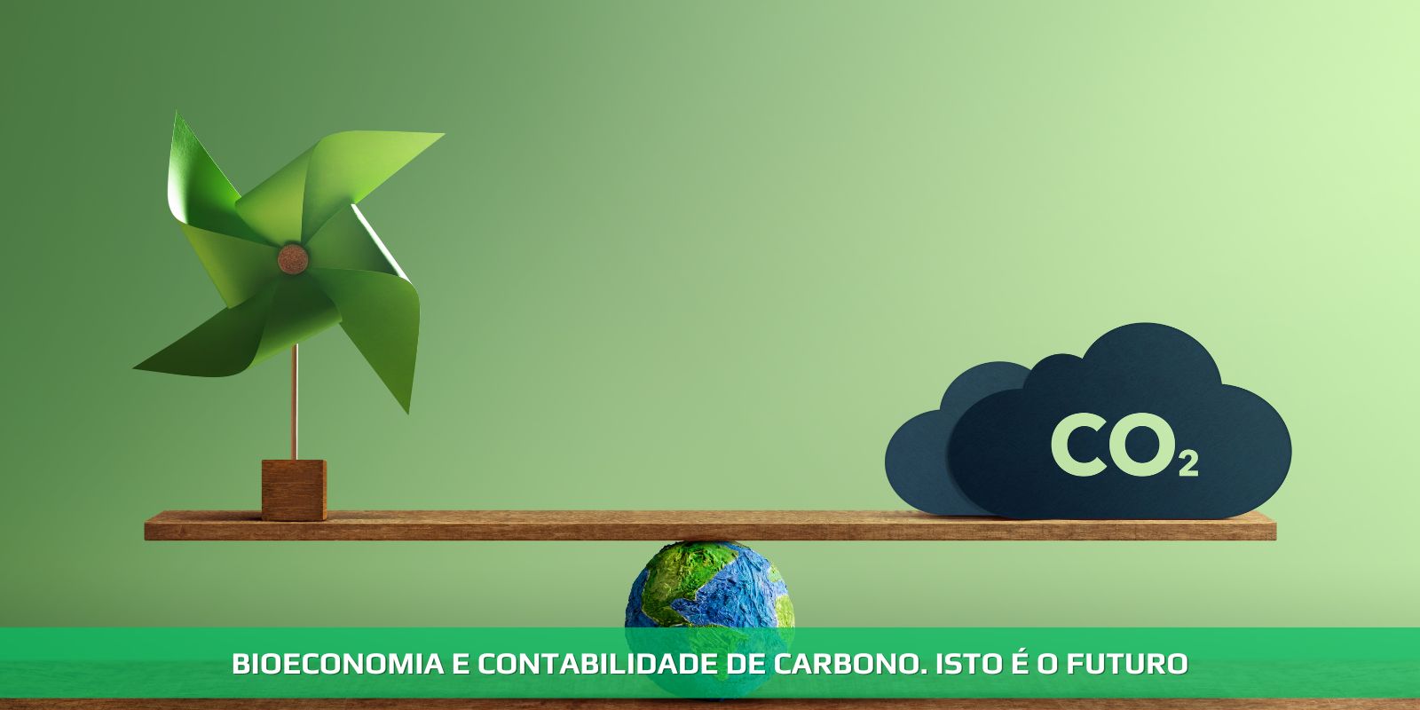 BIOECONOMIA E CONTABILIDADE DE CARBONO